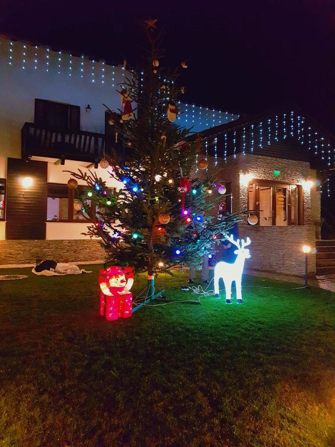 Pensiunea Câmpia Soarelui Apa Neagră Exterior foto