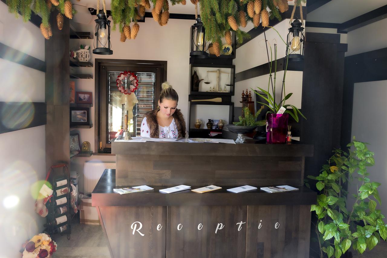 Pensiunea Câmpia Soarelui Apa Neagră Exterior foto